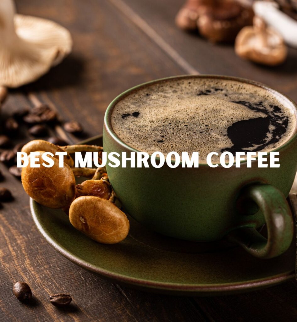 8 Best Mushroom Coffee (Our Best and Pick) Coffee Brew Story